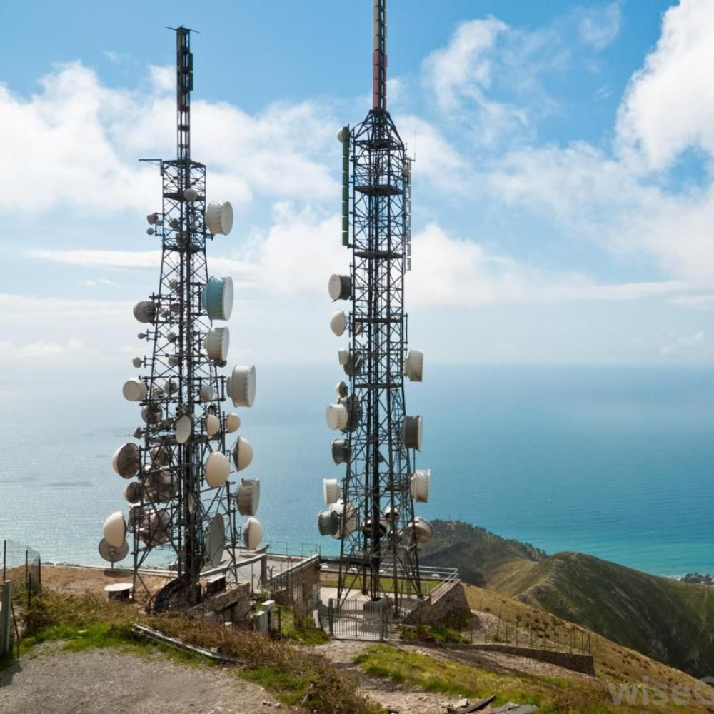 Custom Telecommunication Towers